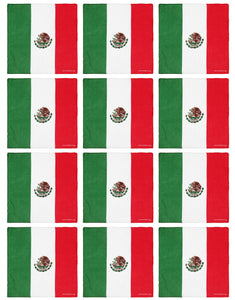 12-Pack Bandana Headband - Mexico
