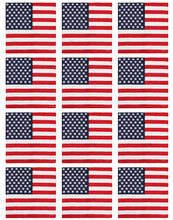 Load image into Gallery viewer, 12-Pack Bandana Headband - USA
