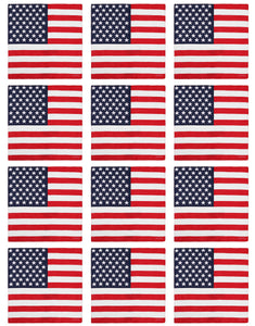 12-Pack Bandana Headband - USA